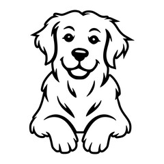 Golden Retriever Peeking