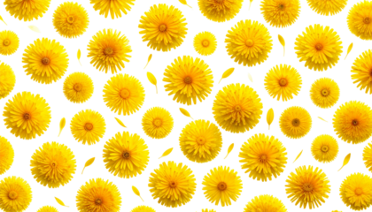 Bright yellow, circular flowers scattered against a stark black background