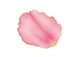 Delicate Pink Petal with Gold Edging, Artistic Floral Illustration.