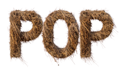 POP" spelled out in straw, text isolated on a transparent background