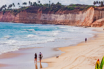 Praia, natureza, mar, ceu, paisagem, flores, sol, aves, animais, carro, 4x4 © JeanSurf