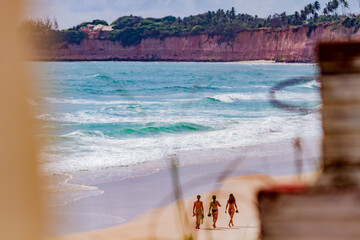 Praia, natureza, mar, ceu, paisagem, flores, sol, aves, animais, carro, 4x4 © JeanSurf