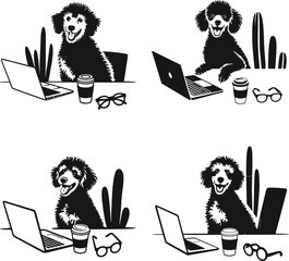 Happy black poodles are focused while working on laptops with coffee and eyeglasses