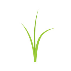 Fototapeta premium Vibrant green grass blade illustration against white background isolated on white background