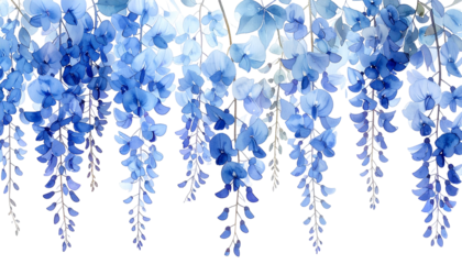 Blue, cascading flowers against a black background, graceful and serene