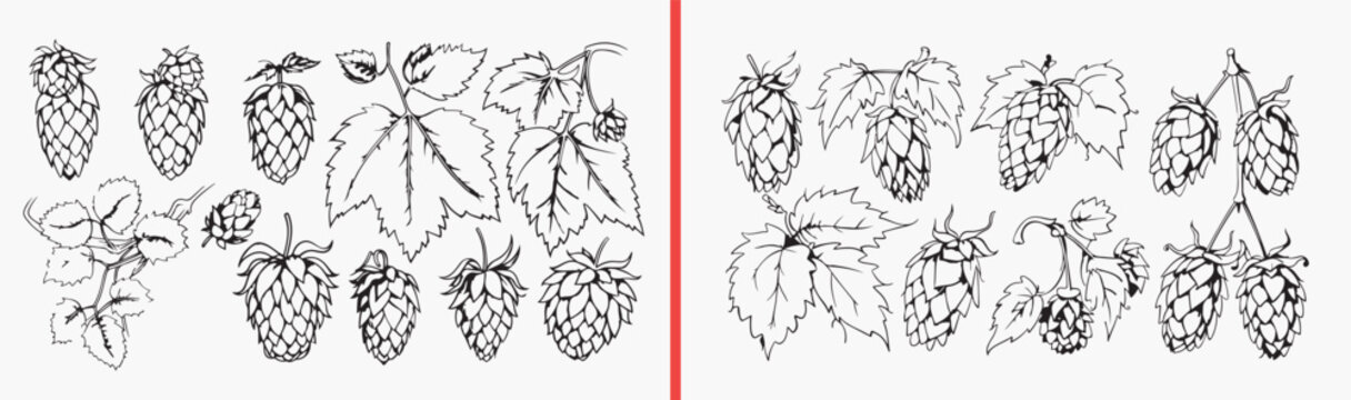 botanical leaf flower icons, floral nature illustrations, plant branch vector, decorative foliage graphics, organic botanical elements, garden leaf pack, flower leaf symbols, natural decor icons, bota