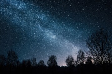 Dark trees silhouette against the bright Milky Way galaxy