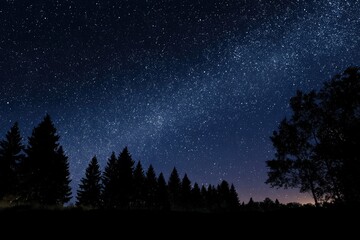 Night sky ablaze with stars above silhouetted trees, capturing the galaxy?s brilliance