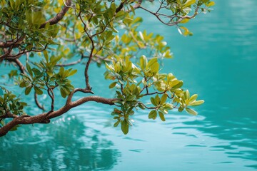 Close-up of tree branch with vibrant green leaves over serene turquoise water