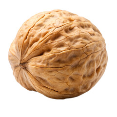 walnut isolated on white background