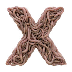 earthworm letter X - Capital 3d earthworm font isolated on white background. This alphabet is perfect for creative illustrations related to gardening, compost, horror concept. Generative AI