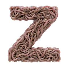 earthworm letter Z - Capital 3d earthworm font isolated on white background. This alphabet is perfect for creative illustrations related to gardening, compost, horror concept. Generative AI