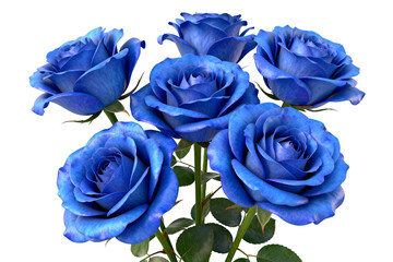 Six Vibrant Blue Roses in Full Bloom