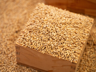 Dried herbal medicines sold in traditional markets