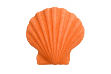 Orange scallop seashell marine life creating summer vacation concept