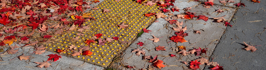 Fall changes, dry red maple leaves on street and sidewalk with ADA compliant accessible curb ramp,...