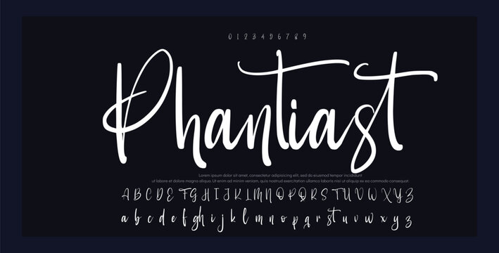 signature Font Calligraphy Logotype Script Brush Font Type Font lettering handwritten 