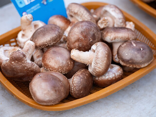 Obraz premium Fresh mushrooms at a traditional market