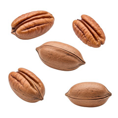 Five pecans isolated on transparent background