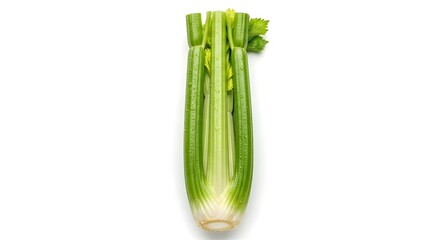 Fresh bright green celery heart stalks with water droplets centered against a clean white background showcasing crisp organic vegetable texture