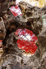 Beautiful rock with a view of red maple leaves during the autumn foliage season in Suzhou