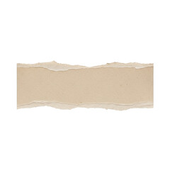 Ripped paper texture isolated on transparent background
