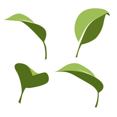A vector set of two-color leaves in a minimalist flat style.