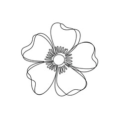 Simple line art illustration of a delicate five petal flower bloom