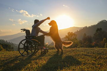 Silhouette of young girl in a wheelchair playing with her Golden Retriever dog together on mountain sunset , a touching scene of companionship, loyalty, and hope