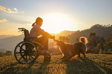 Silhouette of young girl in a wheelchair playing with her Golden Retriever dog together on mountain sunset , a touching scene of companionship, loyalty, and hope