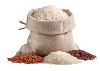A sack of white rice and three small piles of red and white rice
