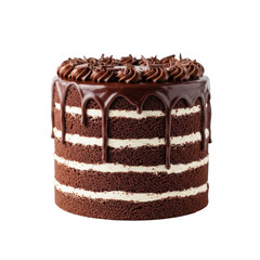 Delicious chocolate cake isolated on transparent background