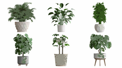 A collection of diverse potted houseplants on a clean white background © Uttam