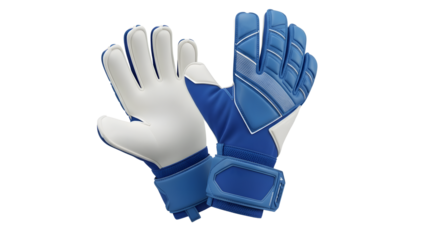 Clean Modern Goalkeeper Gloves Design