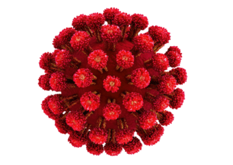 Red, round object with spiky projections on black background