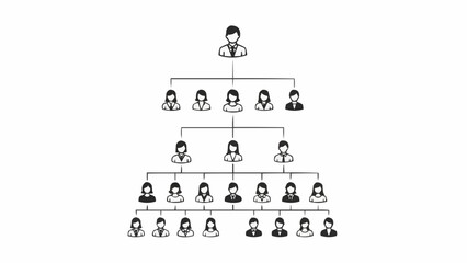Organizational chart showing hierarchy and reporting structure.