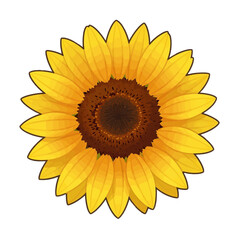 Vibrant yellow sunflower with detailed brown center