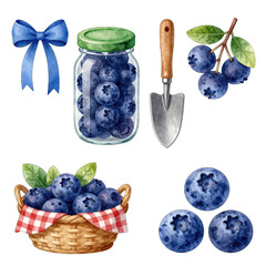 Watercolor illustration set of blueberries, jar, and garden tools