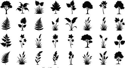 Collection of various plant silhouettes on white background