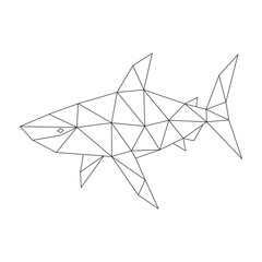 Polygonal line art of shark vector