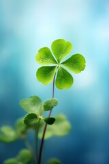 Four-leaf clover growing offering luck and nature, vertical