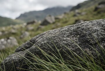 Grass on granite rock in misty mountain landscape, close-up foreground texture, shallow depth of field, natural outdoor scenery with cloudy sky
