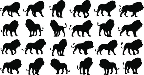 Collection of male lion silhouettes, wild cat predator figures, African safari animal icons, king of jungle wildlife symbols, majestic leonine © Mim's World