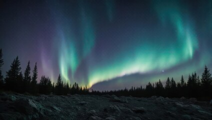 Spectacular Aurora Borealis Display Over a Forest Landscape.