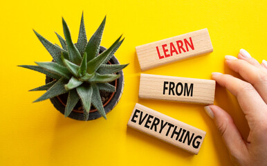 Learn from Everything symbol. Wooden blocks with words Learn from Everything. Businessman hand. Beautiful yellow background with succulent plant. Business concept. Copy space.