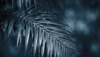 Ethereal Palm Frond in Moody Blue Hues.