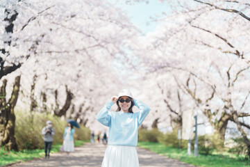 Fototapeta premium Woman tourist sightseeing Kitakami Tenshochi Park with Sakura Cherry Blossom in Spring, traveler travel in Kitakami festival, Iwate prefecture, Japan. Landmark for Travel and Vacation destination