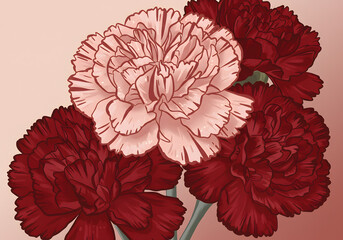 Red and pink carnations illustration