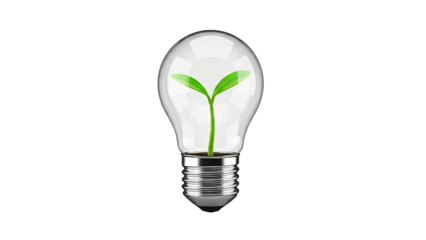 Light bulb with seedling inside