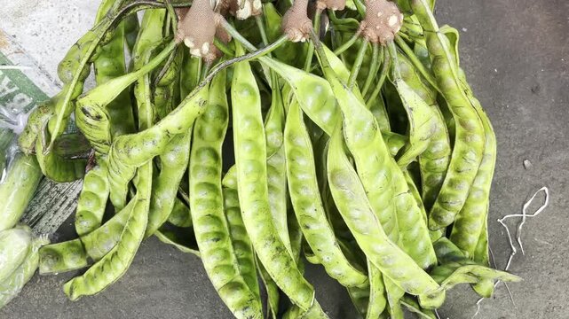Fresh Green Petai Stink Beans Bundles